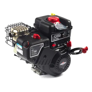 Briggs and Stratton 15C134-3023-F8 Professional Snow Series 11.5 GT 250cc Horizontal Shaft Engine