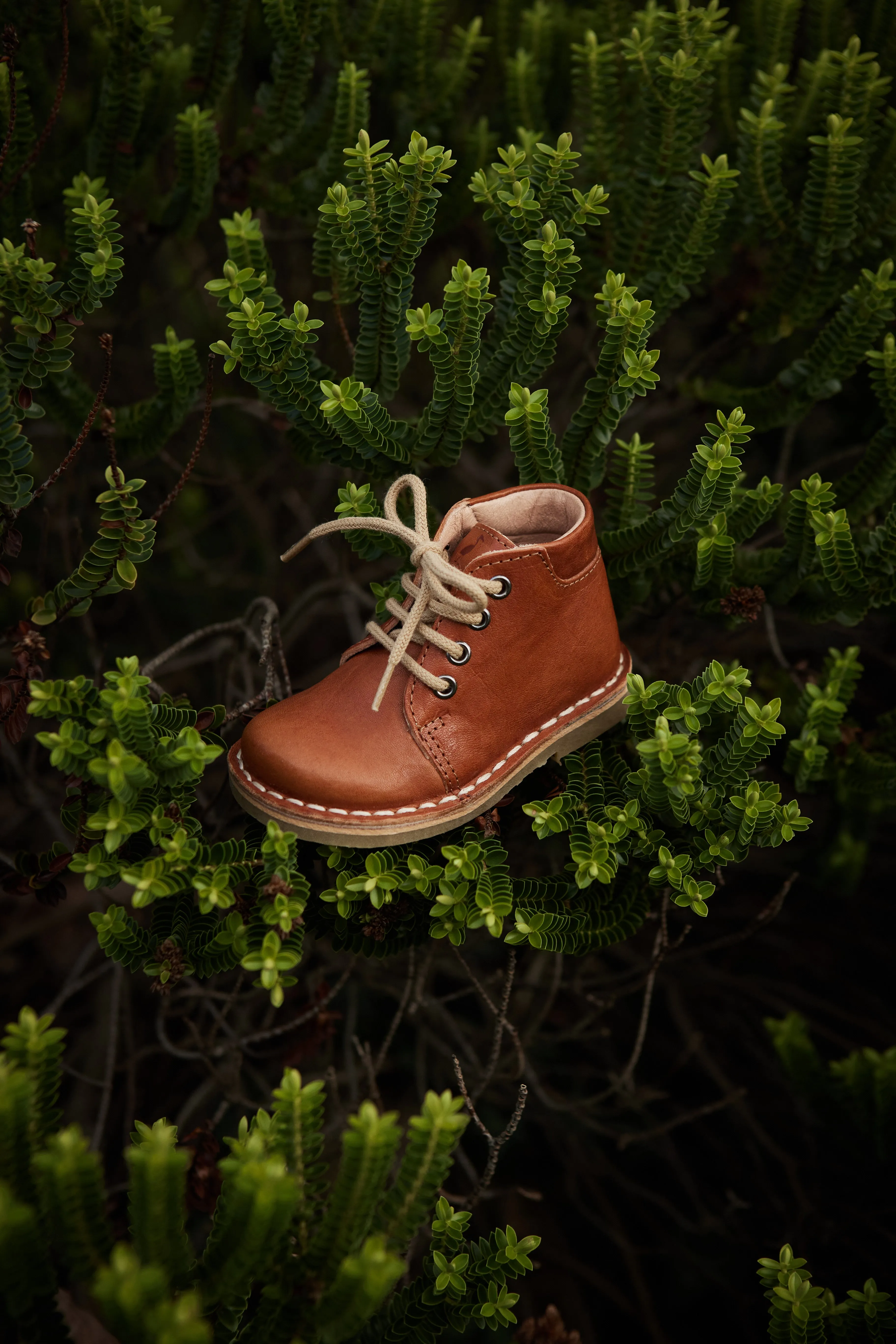 Classic Boot - Cognac